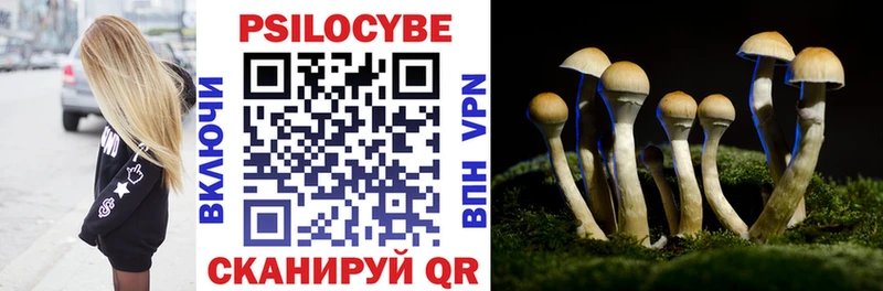 Галлюциногенные грибы Psilocybe  Купить  Гаджиево 