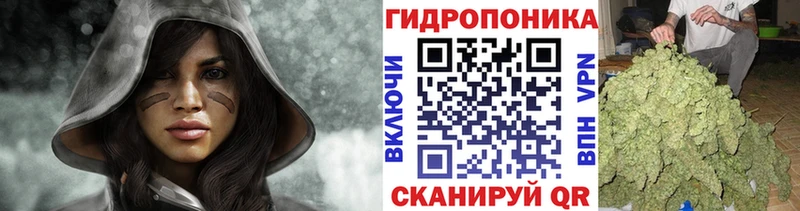 Купить закладки  Гаджиево  МАРИХУАНА ГИДРОПОН 